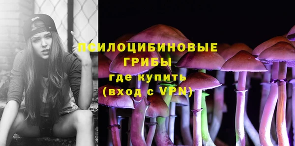 дмт Алзамай