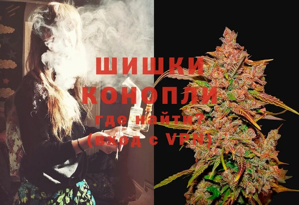 шишки Алексин